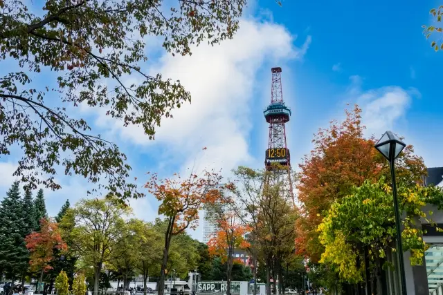 【北海道秋の味覚】3年ぶりの開催!札幌オータムフェスト2022年を会場ごとにご紹介