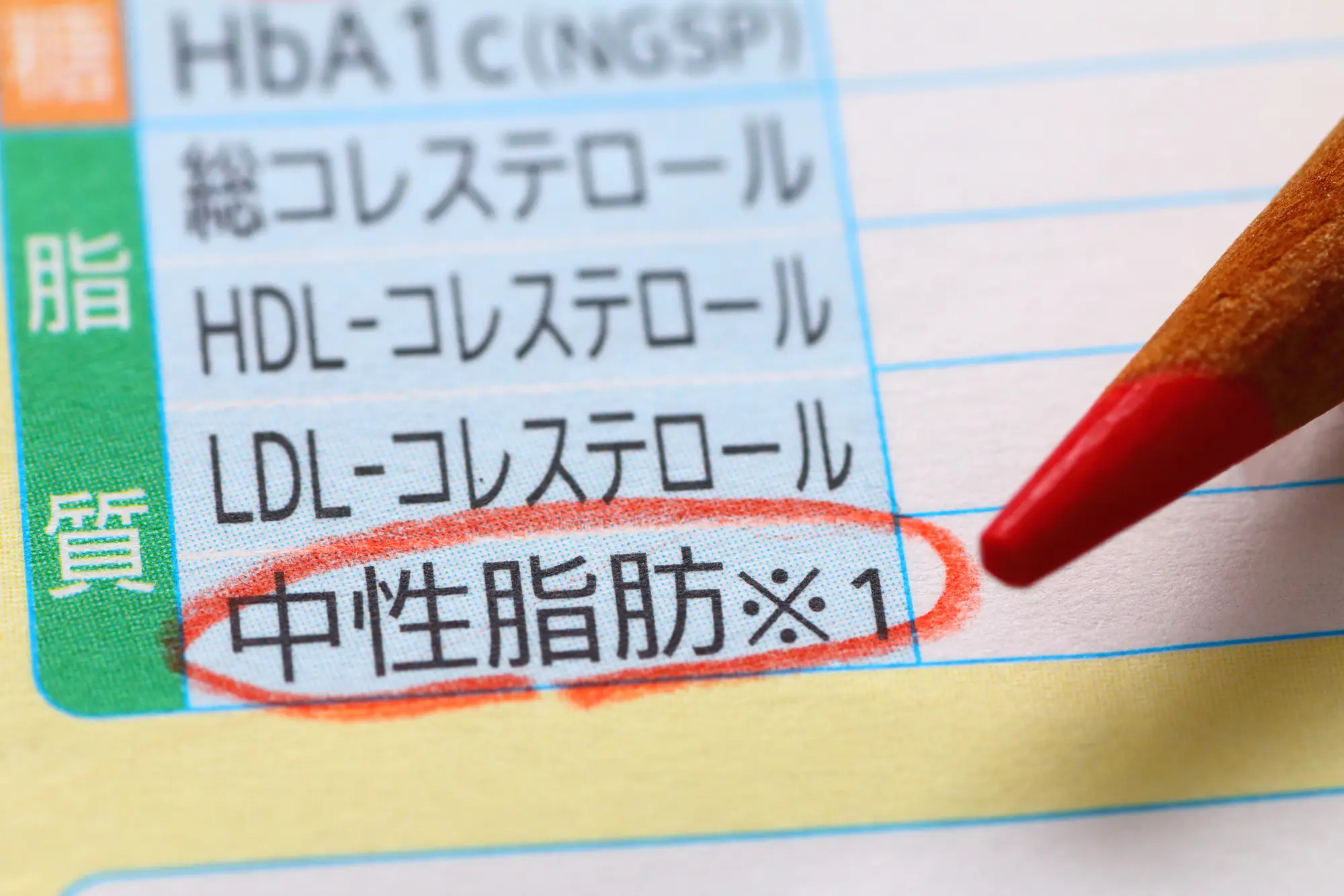中性脂肪・コレステロールが気になるあなたへ。運動×食事のWアプローチで始める、無理しない健康習慣